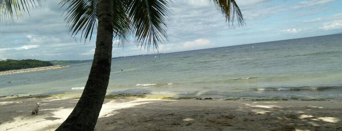 Dalaguete Beach Resort is one of Lugares favoritos de Danny.