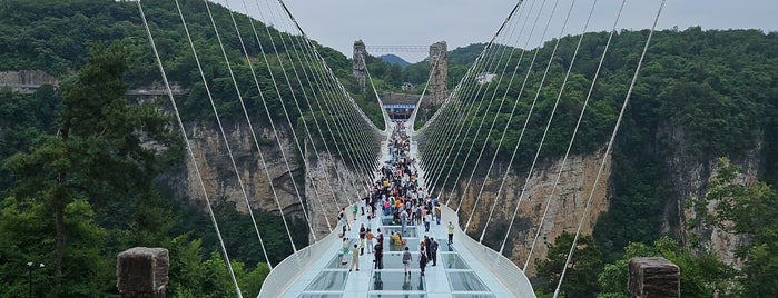 Zhangjiajie Grand Canyon Glass Bridge is one of Travel.