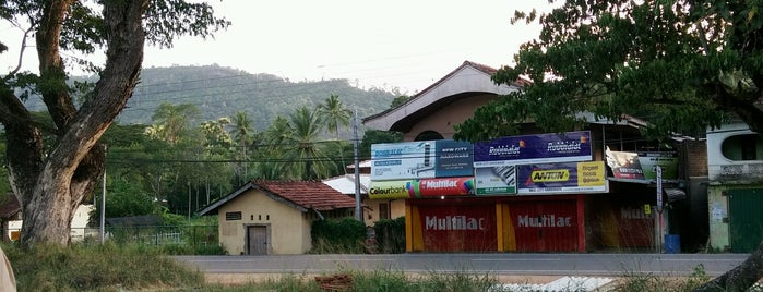 Wellawa Railway Station is one of Railway Stations In Sri Lanka.