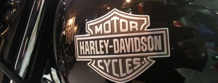 Harley Davidson Dealer Store is one of Egypt Automotive & Car Care.