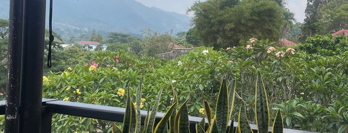 Cimory Mountain View is one of Must-visit Food in Bogor.