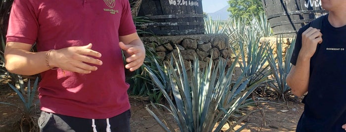 Tequila Tres Mujeres is one of México​.