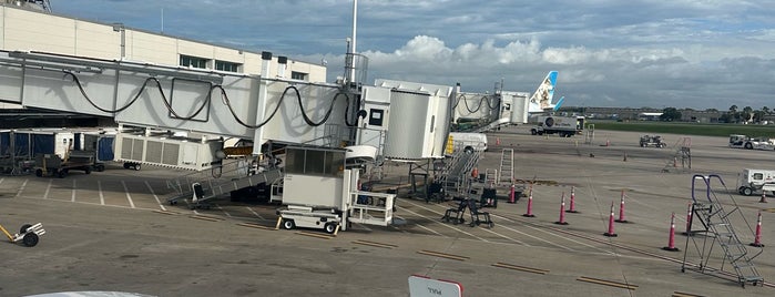 Gate 11 is one of MCO.