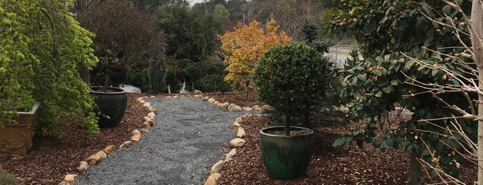 Topiary Courtyard wholesale nursery is one of Locais curtidos por Chester.