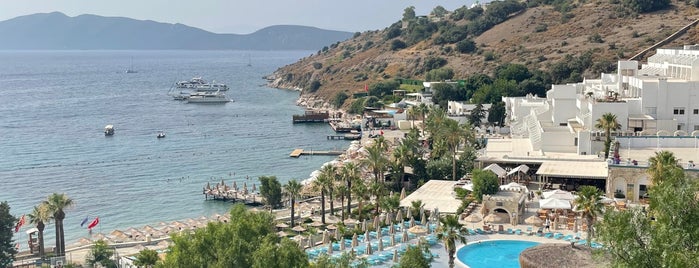 Bardakçı Beach Bodrum is one of Plaj.