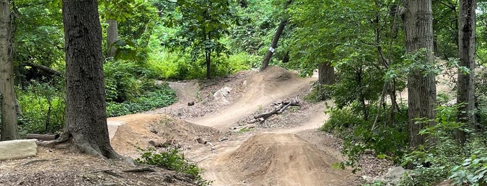 Cunningham Park North Woods Mountain Bike Trails is one of USA NYC QNS East.