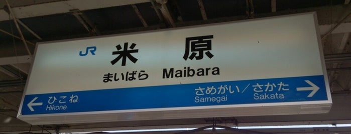 特急しなの停車駅 The Limited Express Shinano Stops 特急しなの停車駅 The Limited Express Shinano Stops