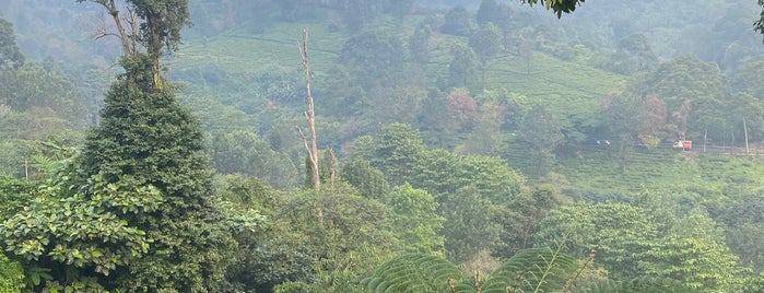 Taman Wisata Riung Gunung is one of Puncak.