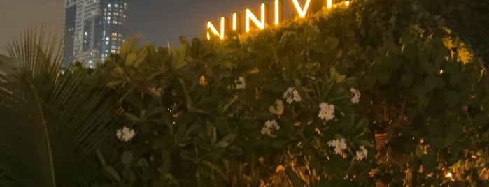 Ninive is one of Dubai 🇦🇪.