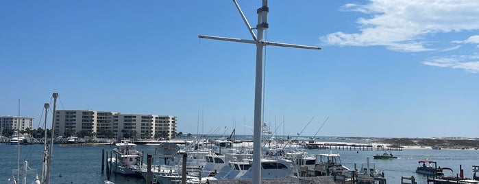 Brotula's Seafood House & Steamer is one of Navarre.