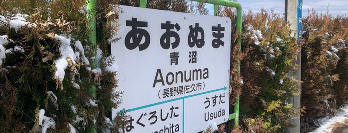 Aonuma Station is one of JR 고신에쓰지방역 (JR 甲信越地方の駅).