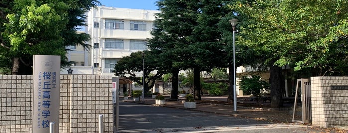 横浜市立桜丘高等学校 is one of 高校.