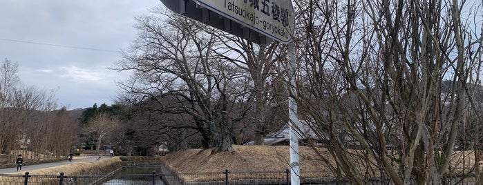 Tatsuoka Castle is one of 長野に行ったらココに行く！ Vol.2.