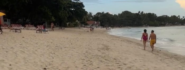 Samui