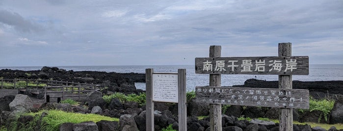 南原千畳岩海岸 is one of Lieux qui ont plu à 高井.