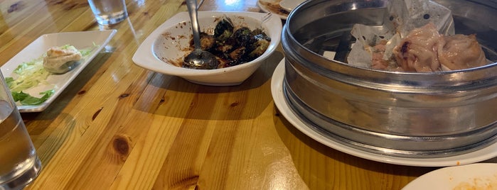 best chinese food dallas pa