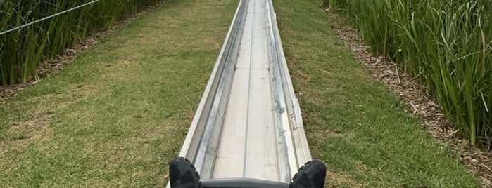 Cool Runnings Toboggan Track is one of Cape town.