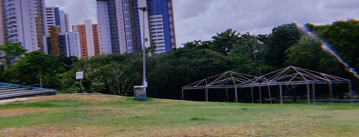 Parque Estadual do Cocó is one of Fortaleza CE.