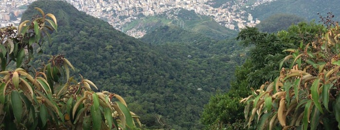 Pico da Tijuca is one of Rio 40 graus.