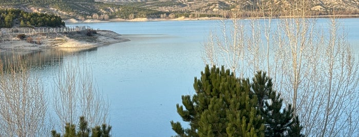 Altınapa Barajı is one of Lieux qui ont plu à Cenk.