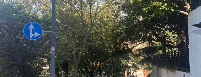 Şenlikdede Parkı is one of istanbul avrupa git2.
