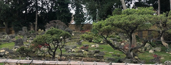 Japanischer Garten is one of Orte, die Rafael gefallen.