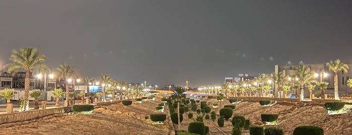 Alrehab walking area is one of Riyadh calm chill places.