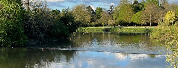 Abbey Park is one of Leicester Day Trips.