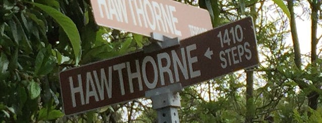 Hawthorne Steps is one of Creative Sage™ studio/office spaces/neighborhoods.