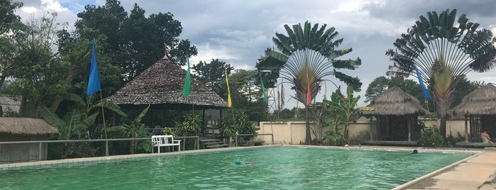 Fluid Swimming Pool is one of Pai.
