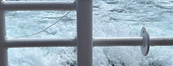 Bateau des Îles de Lerins is one of Posti che sono piaciuti a Ekaterina.