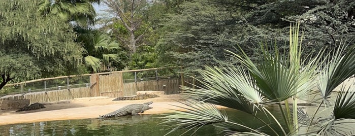 Crocodile Park is one of Dubai & Abu Dhabi & Sharjah - Attractions.