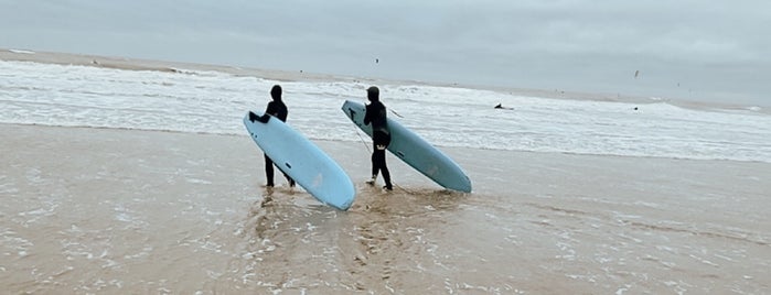 Hart Beach Surfshop is one of DEN HAAG 🇳🇱.