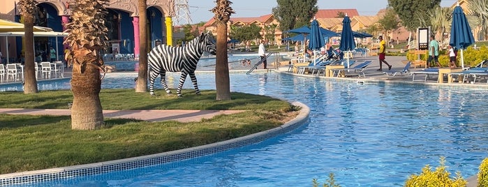 Jungle Aqua Park Hotel is one of Хургада.