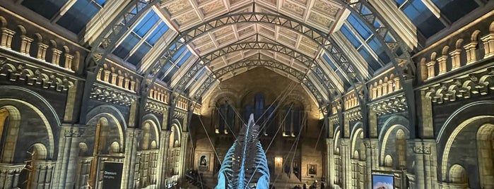 Natural History Museum Coffee Shop is one of London.