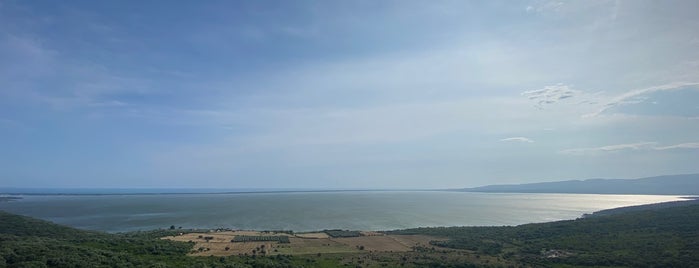 Lago di Varano is one of Italy: Puglia.