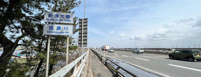 新潟大橋 is one of 橋のあれこれ.