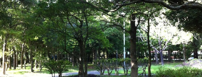恋ケ浜緑地公園 is one of 周南・下松・光 / Shunan-Kudamatsu-Hikari Area.