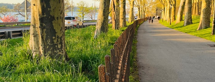 Riverside Park - Cherry Walk is one of Best in NYC.