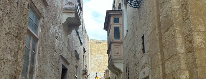 Mdina City Walls is one of Malta ⛵🌞.