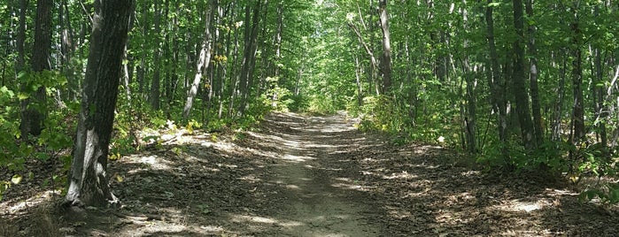 Portland Trails is one of Lugares favoritos de Taylor.