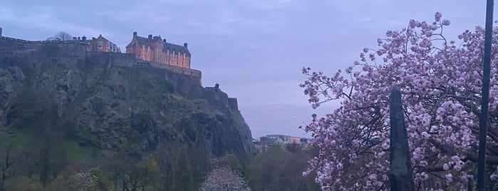 Edinburgh is one of Friends in UK.