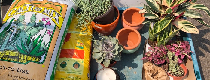 Green Thumb Nursery is one of Erik'in Beğendiği Mekanlar.