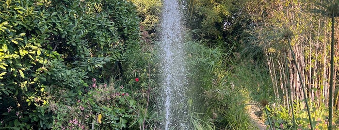 Giardino Botanico Fondazione Andre Heller is one of Botanical gardens.