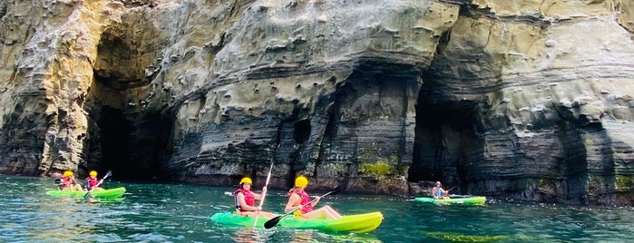 San Diego Bike & Kayak Tours is one of Deep Fried Ice Cream.