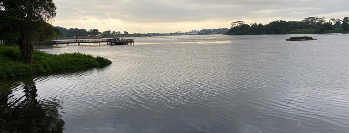 Lower Seletar Reservoir is one of Tempat yang Disukai Serene.