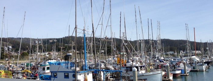 Pillar Point Harbor is one of Playing Host.