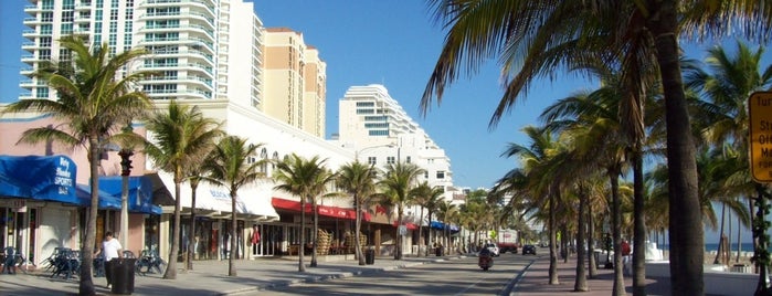 Starbucks Hilton is one of Lugares favoritos de Bruna.