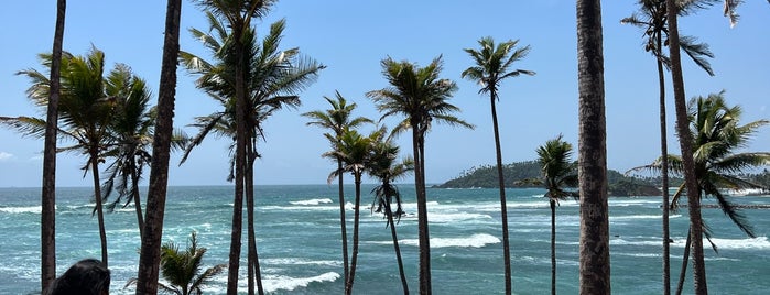 Mirissa Coconut Tree Hill is one of Sri Lanka.