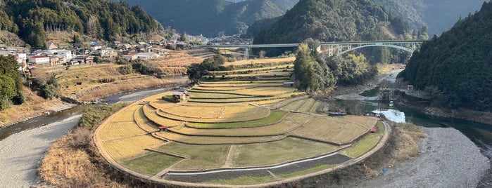 あらぎ島展望所 is one of 日本の棚田百選.